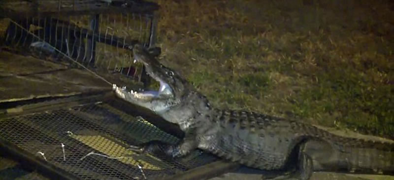 Ұ������Э����Ա����������Լ20��