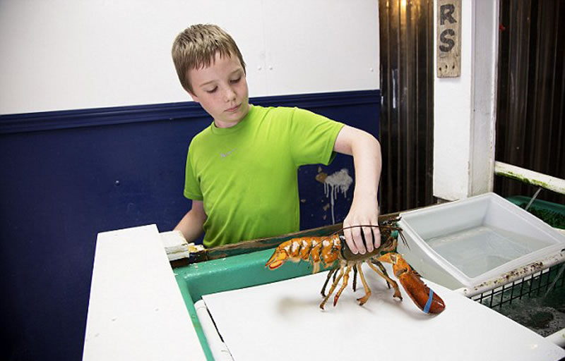 ����Ȼ�磬��������Ϻ���ֵĸ��ʽ�Ϊ��ǧ���֮һ��