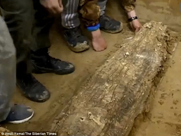 俄罗斯西伯利亚发现中世纪儿童木乃伊