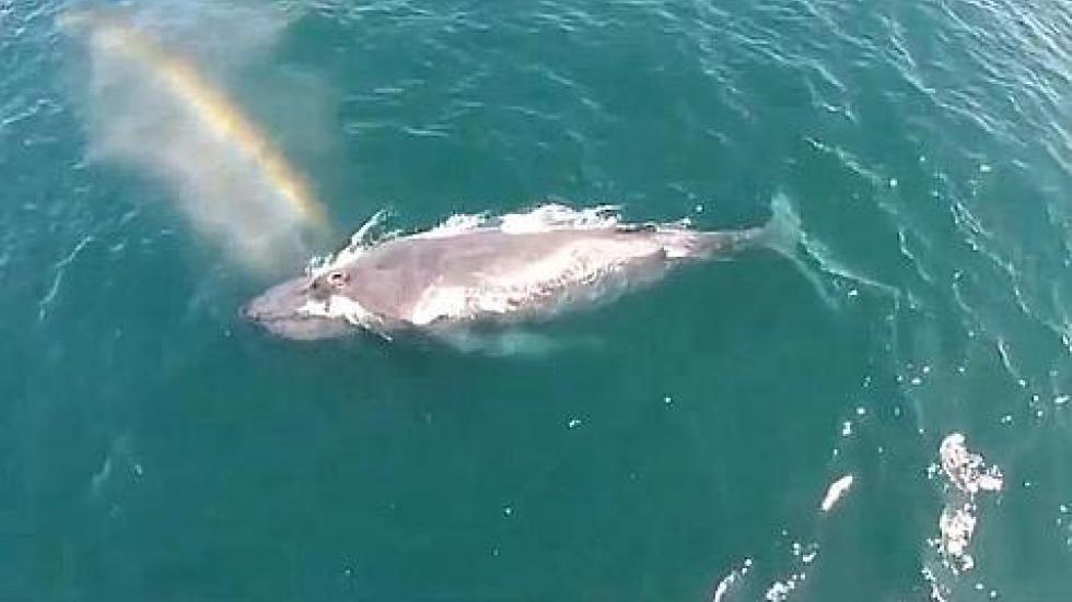 ��������һͷ��ͷ������ˮ�滻������ʺ�