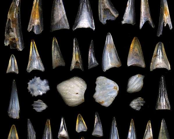 о֣û6600ǰĴΪܿ޷Ϊĺͳߡ