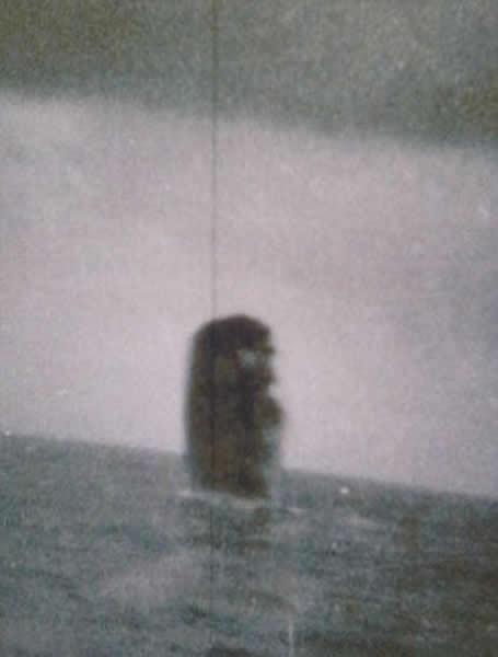 对于不明飞行物的调查,奈杰尔-沃森也承认自己也不确定它们是否是真实的,许多人猜测地球上存在不明飞行物,并且认为北极有一个飞碟基地,目前还没有足够的证据证明外星人