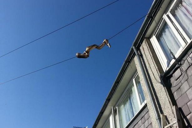 Ӣ������˹�������������з��ߡ�