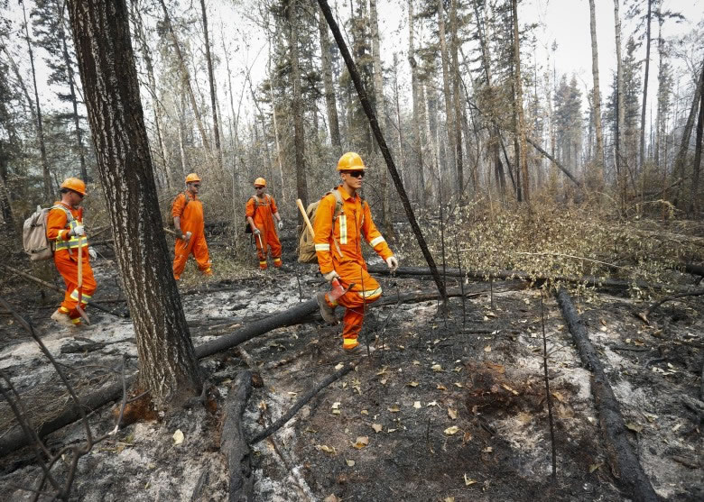 加拿大西部山火焚毁大量树林,消防人员努力扑救。