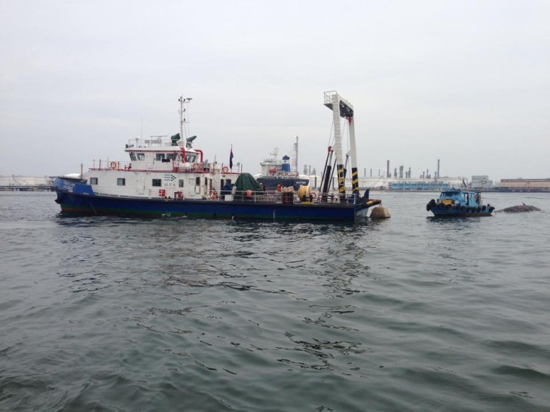 ������ɴ�������ʬ