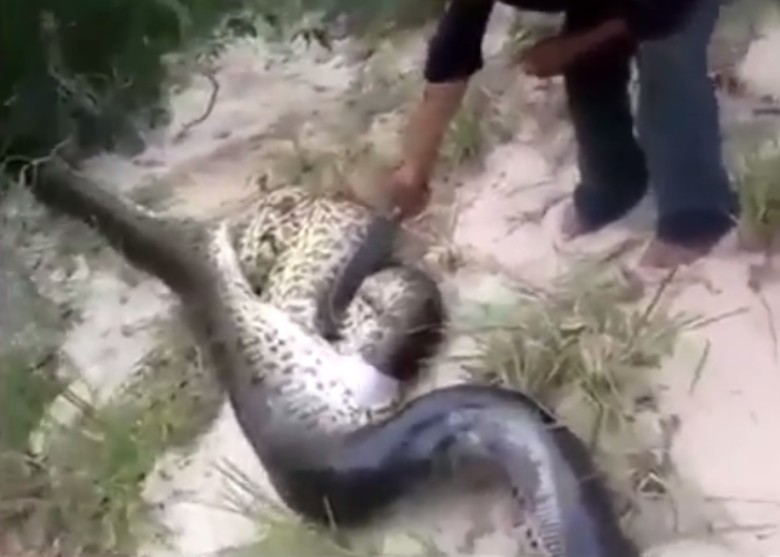 �����õ��ʿ��߶Ǻ󣬾����������ߡ�