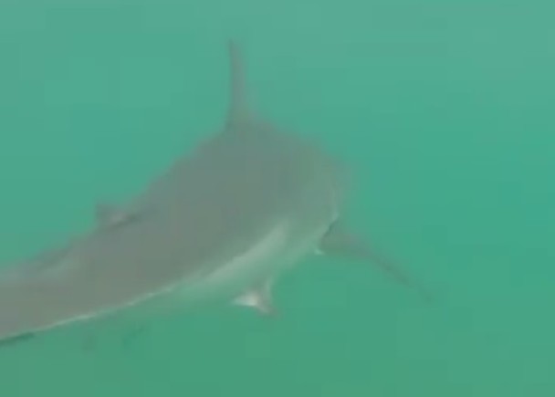 ��͢�ٱ�����ն�γ�������