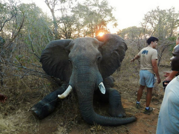 �����ɹ�������ʼ����е㺦�£��������ȶ�˫������ȻҩЧ��ʼ��������û��ԣ���˫���Կ�����ҽ�ͱ���Ա�ǡ�