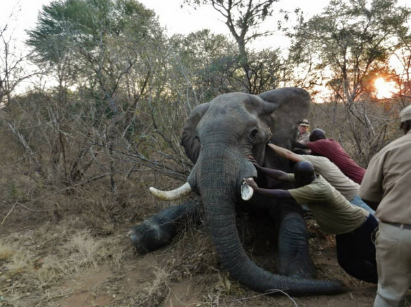 Ϊ��Ҫ���ⷢ�����������⣬����Ա�����������������Ե����ơ�