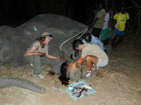 �������ó��ĳ��ƺ��ֻ���æ���������������������