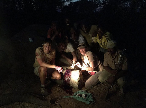 �������������