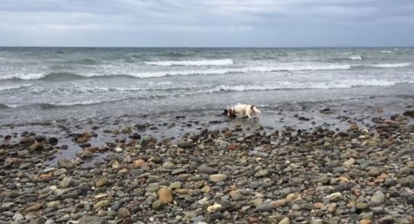 ʷ����Ȯ���Ϸͽ� �ں��ߵ����Ӣ�����Ӿȳ���ǳ��������