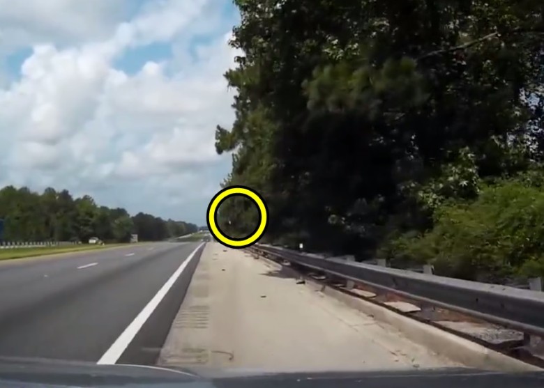 �����յ����ҷ���ɭ���У���Ҳ������Ӱ��