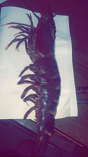 ����������������ʥԼ�����в���������޻�Ϻ