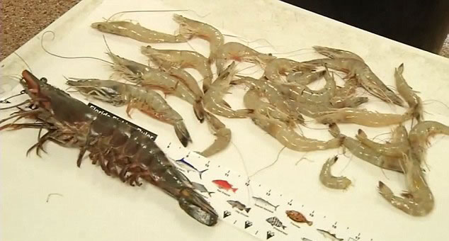 ����������������ʥԼ�����в���������޻�Ϻ