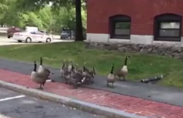 ������ʿ�ټ��ô���ڳ����ΰ�Χ����С�㲻��������͵Ϯ