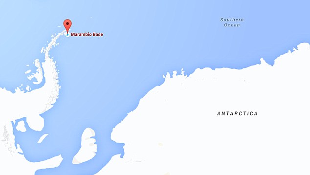 �����ʯ�����ټ��Ǵ��ϼ��ް뵺�����Ȱµ���÷�����γ���ĳ��������ռ����ģ���������һ�ְ��������������ڵĻ��ڶ���ݳ�����������Լ��5000������ʷ��׷�ݵ�