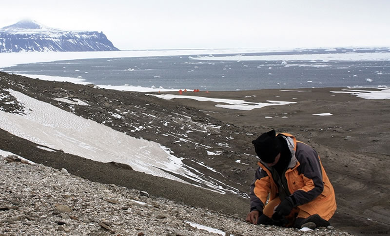 �������ʾ����������Ļ�ʯ��������Ҳ����������ŷ�޵�����ͰĴ����ǵĶ�Ѩ��������������������������ϸ���л���ֻ�зǳ�������û�л�ʯ��¼���� ����ն���ʿ����