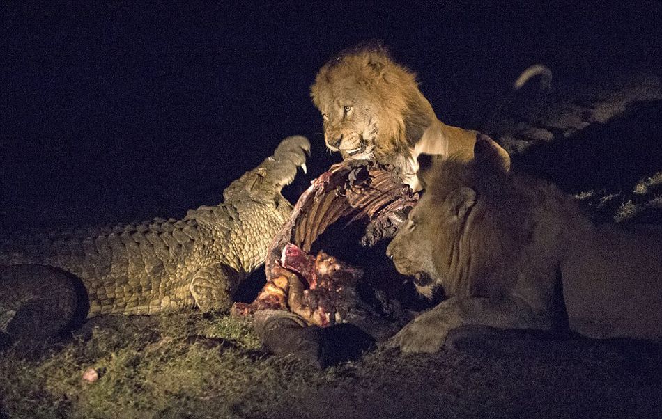 Ϸǿ³ҹ԰Ҫʨжʳձ