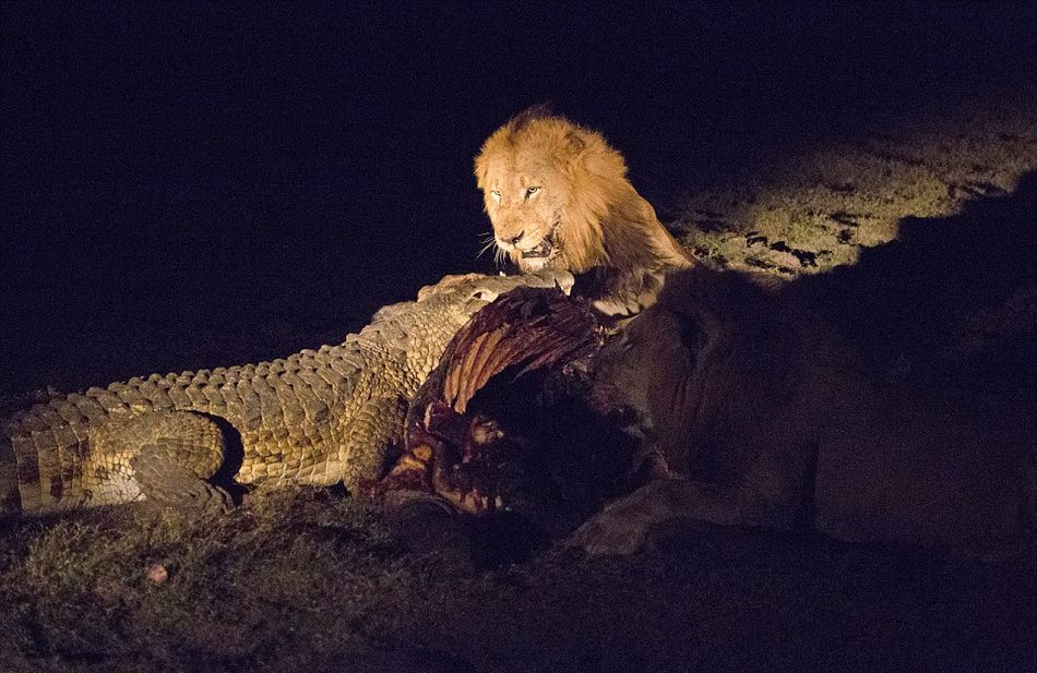 Ϸǿ³ҹ԰Ҫʨжʳձ