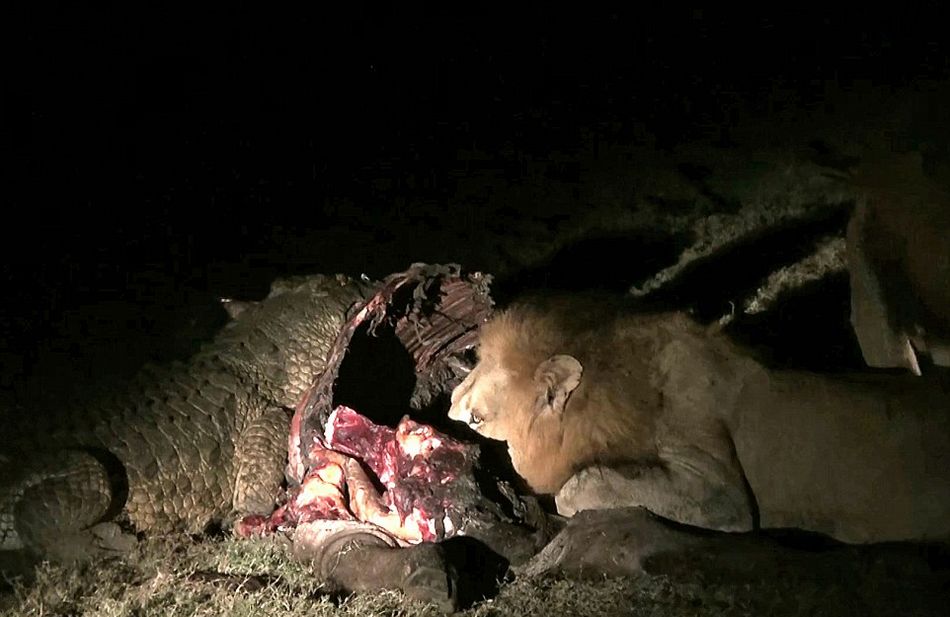 Ϸǿ³ҹ԰Ҫʨжʳձ