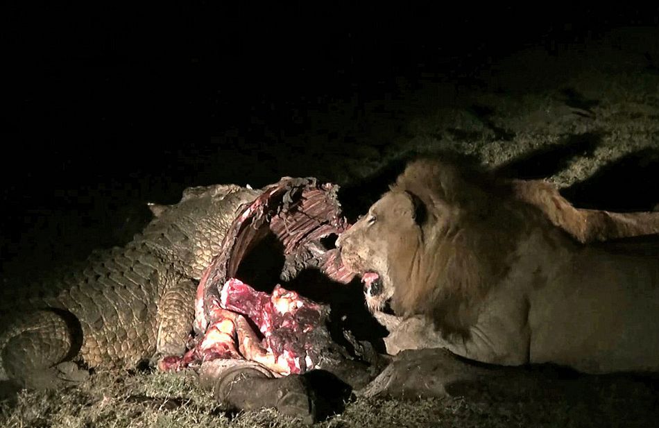 Ϸǿ³ҹ԰Ҫʨжʳձ