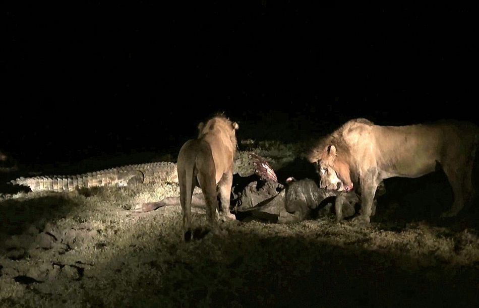 Ϸǿ³ҹ԰Ҫʨжʳձ