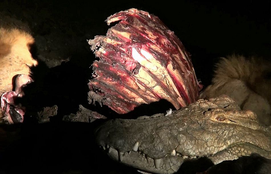 Ϸǿ³ҹ԰Ҫʨжʳձ