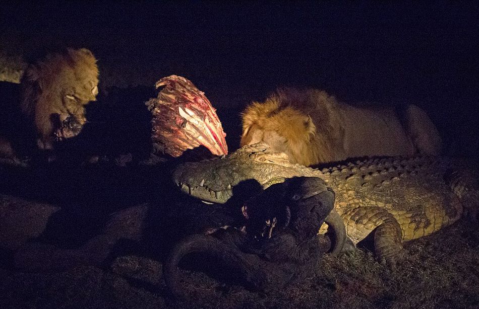 Ϸǿ³ҹ԰Ҫʨжʳձ