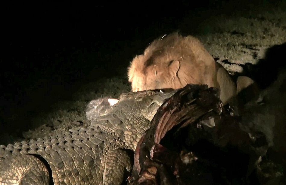 Ϸǿ³ҹ԰Ҫʨжʳձ