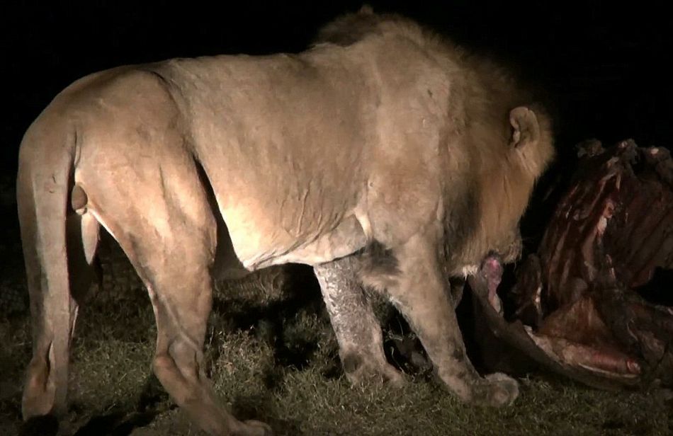 Ϸǿ³ҹ԰Ҫʨжʳձ