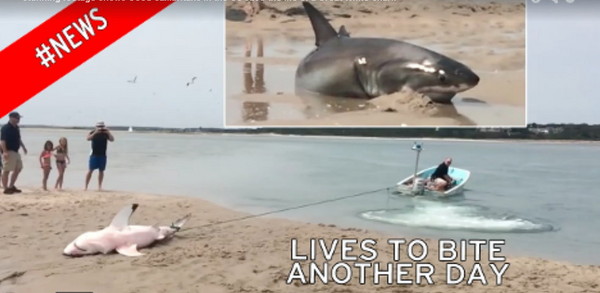 ���ݴ����Ϊ׷��Ÿ��������������Ǻ�̲��ǳ