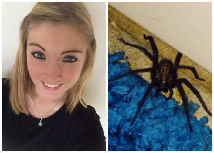 伍兹(左图)在浴室发现小蜘蛛后一直不理,想不到2月后它竟长大成2吋多长的巨蛛(右图) 。