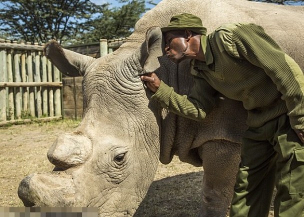 苏丹与守卫相处融洽
