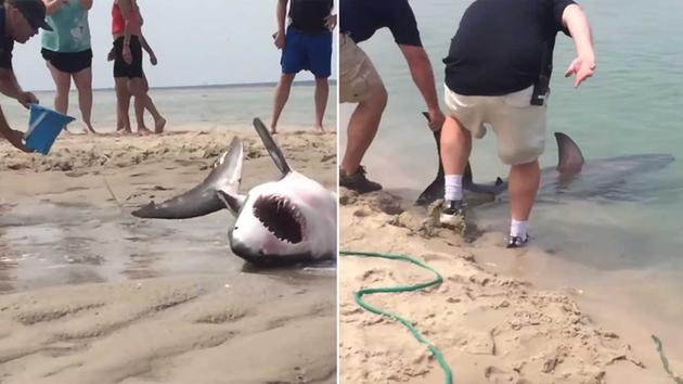 �����ǳ�󣬻��������ͻغ��С�