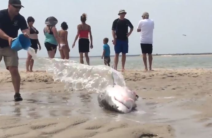 Ӿ����������ˮ