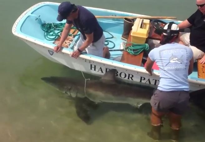 ��������ջص�����