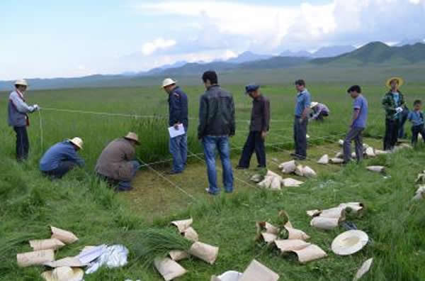 在华的实地工作