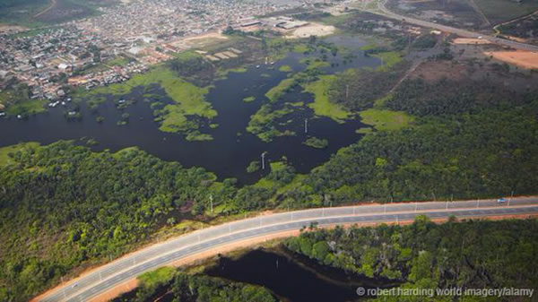 人类在不断侵入野生动物的栖息地