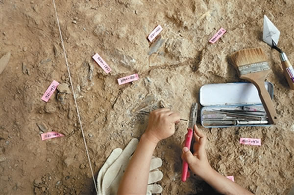 ������Ա�ú�ɫ��ǩ��ʾ�����򵽵��չ���ʯ��