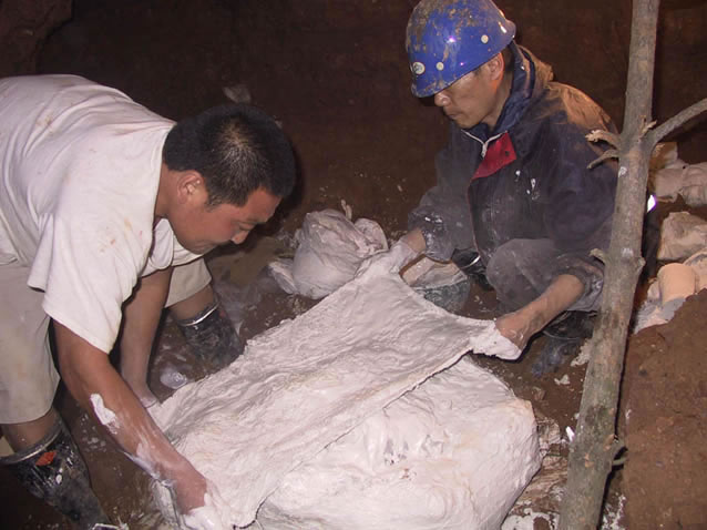 资料图:刘金毅博士率队对河北秦皇岛灵仙洞考察发掘