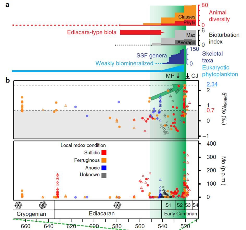 距今7亿年之前的海洋氧化还原状态演变与生物演化