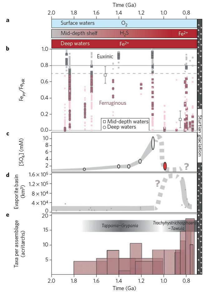 距今6亿年前后沉积物Mo元素含量和Mo同位素值变化与生物演化