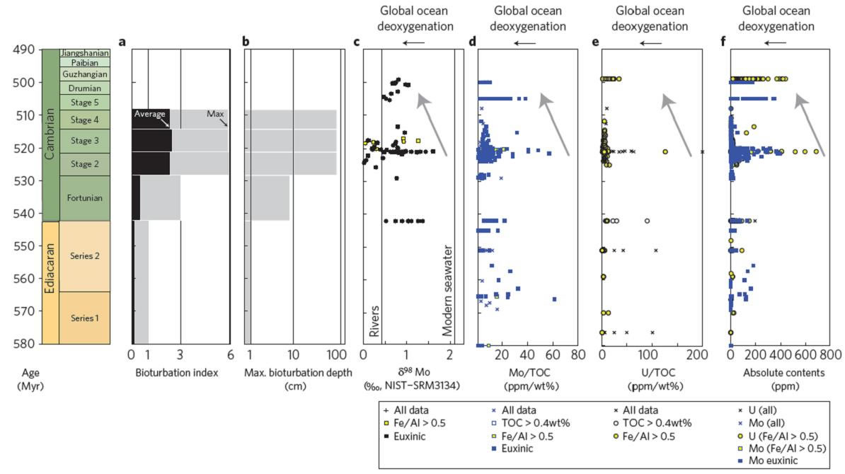 海水氧化还原地球化学指标表明动物扰动作用在寒武纪大爆发之后海水氧化水平降低的现象