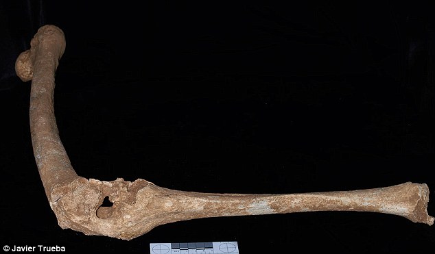 关于马其顿菲利普二世墓的新见解