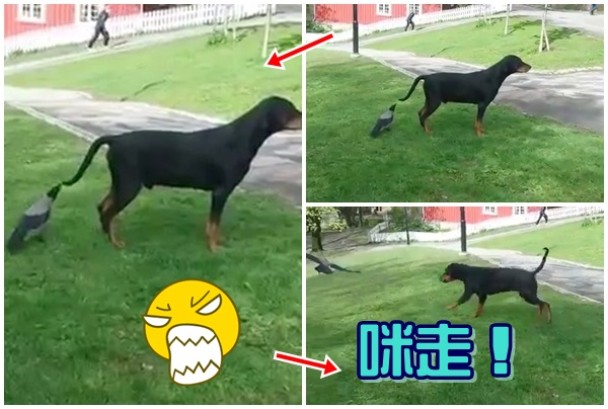 ��ѻ��βŪ�ô󹷻���