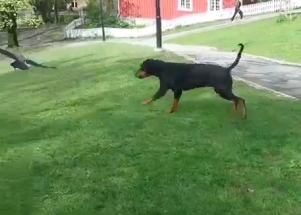 �������ô����ͽУ�����ѻ�����̷���������