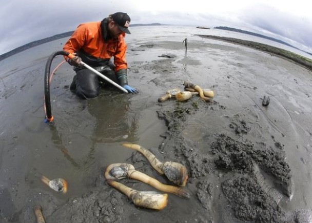 �����й�����ΰ���������������ʢ