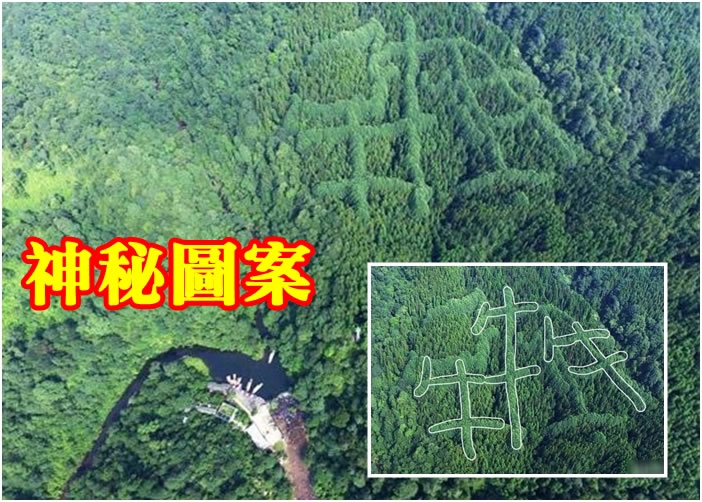 邛崃市天台山镇的山脊上出现神秘的“犇”图案