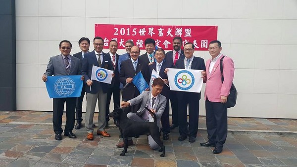 台湾土狗获世界畜犬联盟(FCI)认证正名“台湾犬”